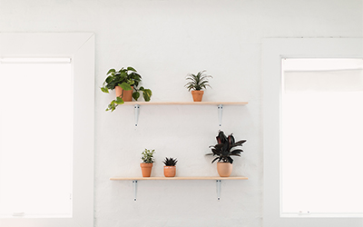 Wood shelves on a wall