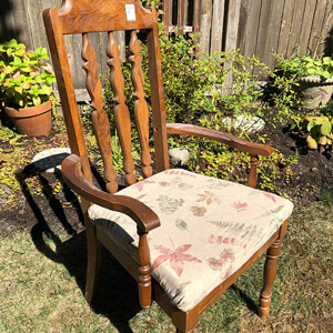 Brown wood chair with cushion in a backyard.