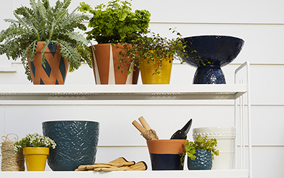 Potted plants and gardening tools on an outdoor shelving unit.