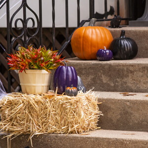 Painted pumpkins arranged on porch steps.