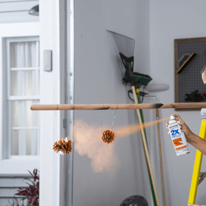 Woman spraying orange paint on pinecones