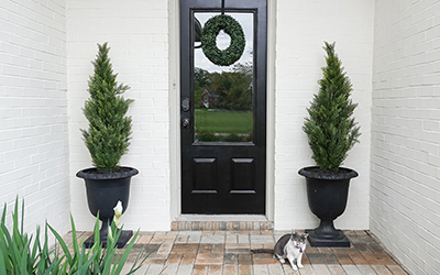 Black front door with trees in black urns on either side. 